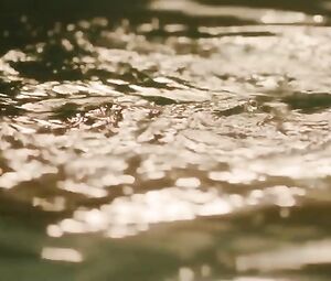 Nude Topless scenes | Actresses:  Jella Haase and Marie-Lou Sellem | The film "Looping" | Released in 2016