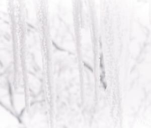 Lesbian Sex Video - Alice Klay & Lana Roy-Warm-Me-Up-Episode-2