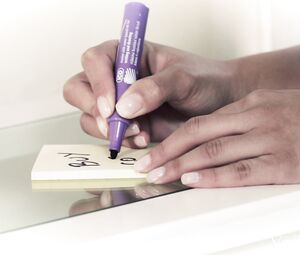 Lesbian Sex Video-Liv Revamped & Renata Fox-Reflections-Episode-2